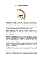 ERVAS DE OXUMARÊ (2).pdf